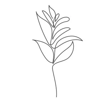 A plant drawn in a vector by one continuous line. Stock Illustration