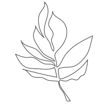 A plant drawn in a vector by one continuous line. Stock Illustration