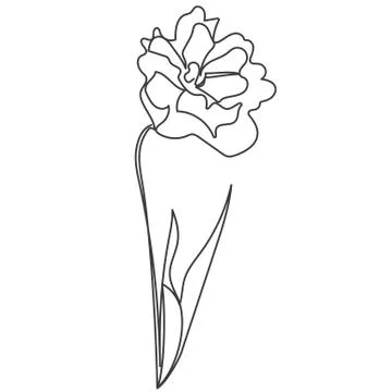 A plant drawn in a vector by one continuous line. Vector illustration Stock Illustration