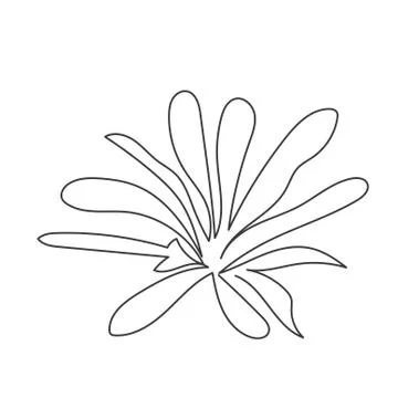 A plant drawn in a vector by one continuous line. Vector illustration Stock Illustration