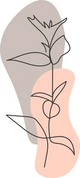 A plant drawn in a vector by one continuous line. Stock Illustration