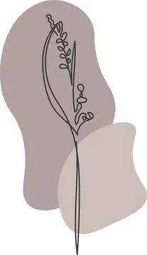 A plant drawn in a vector by one continuous line. Stock Illustration