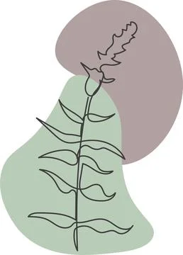 A plant drawn in a vector by one continuous line. Stock Illustration