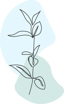 A plant drawn in a vector by one continuous line. Stock Illustration