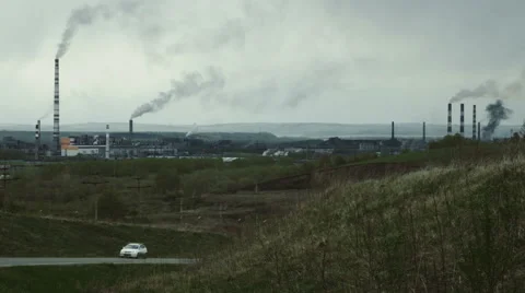 Plant ecology smoke Stock Footage 63023948