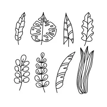 Plant elements collection in doodle style. Hand drawn decorative leaves. Tree Stock Illustration