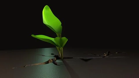A plant is emerging from a deep, jagged crack in a concrete Stock Illustration