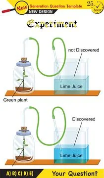 Plant experiments Stock Illustration