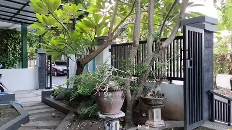 PLANT, FENCE, VIEW 動画素材 212937017