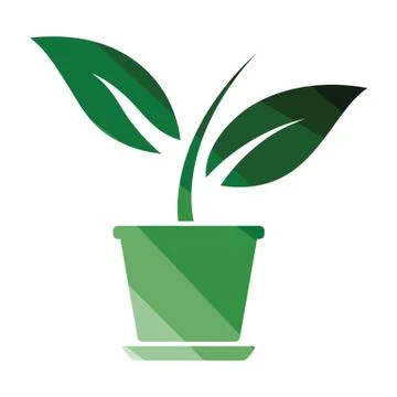 Plant in flower pot icon Stock Illustration