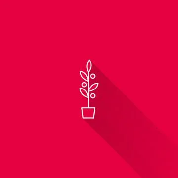 Plant in flowerpot Stock Illustration