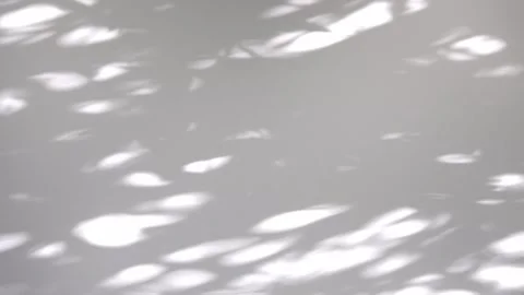 Plant foliage leaf shadow light effect. Sunlight filters through leaves, cast Stock Footage 319448216