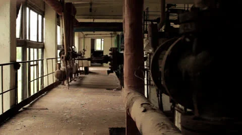 Plant Stock Footage 24038210