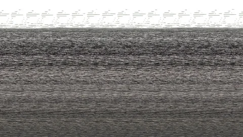 Plant Stock Footage 121685877