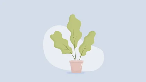 Plant Stock Footage 273772912