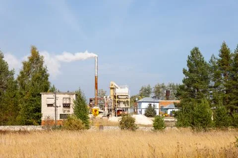 Plant in the forest Stock Photos