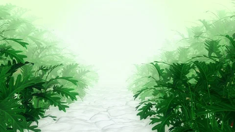 Plant in Garden Stock-Footage 123294425