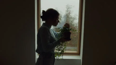 Plant gently touching glass window while being held indoors at home Stock Footage 319972568