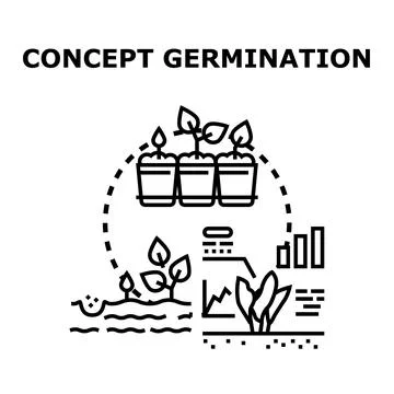 Plant germination and growth development concept illustration Stock Illustration