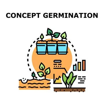 Plant germination and growth development concept illustration Stock Illustration