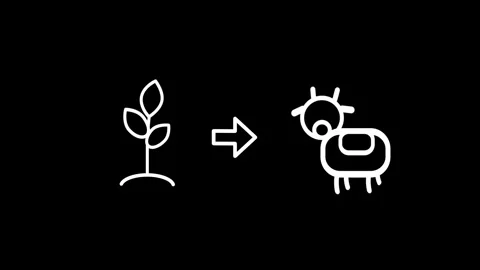 Plant to Goat Synthesis Stock Footage 334188991
