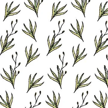 Plant grass pattern, seamless pattern on transparent background Stock Illustration