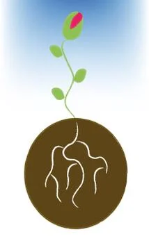 Plant on ground Stock Illustration