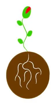 Plant on ground Stock Illustration