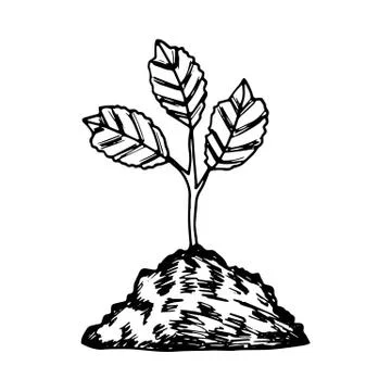 A plant in the ground. vector isolated on white background Illustrazione stock