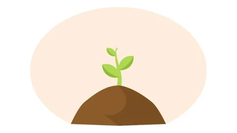 Plant growing animation Vídeos de archivo 195943510