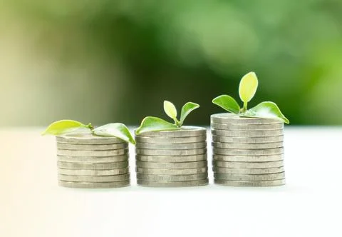 Plant growing on coin stack on blur background. Stock-Fotos