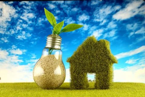 Plant growing inside the light bulb and green house icon with field and blu.. Stockfoto's