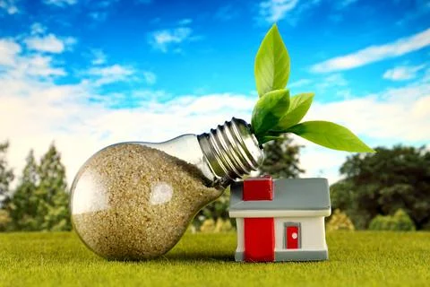 Plant growing inside the light bulb and miniature house with field and blue.. Stockfoto's