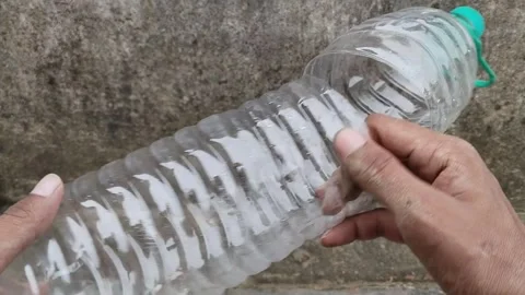 Plant growing in plastic bottle with green house effect Stock Footage 253175636