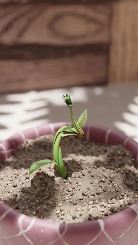 Plant growing on rock 3D Stock Footage 267002396