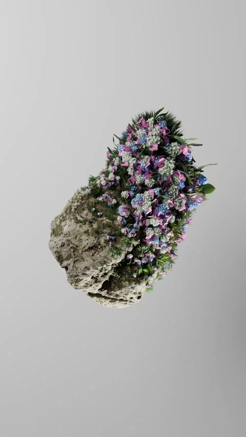 Plant growing on rock 3D Stock Footage 267002499