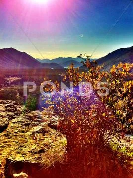 Plant growing in rural valley Stock Photos