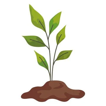 Plant growing from soil Stock Illustration