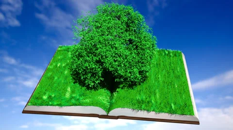 Plant grows between the pages Video stock 32860003