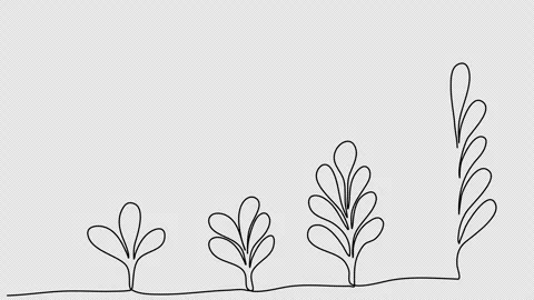 Plant grows. One line drawing animation with alpha channel. Stock Footage 273612216