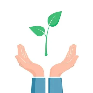 Plant growth between two hands. Eco symbol. Cupped hand that holds green plan Stock Illustration