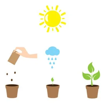 Plant Growth イラスト素材
