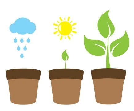 Plant Growth Illustrazione stock