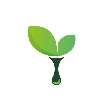 Plant Growth Logo Vector leaf drop logo design simple modern logo Stock Illustration