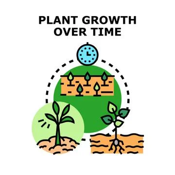 Plant growth over time concept illustrating development progress Stock Illustration