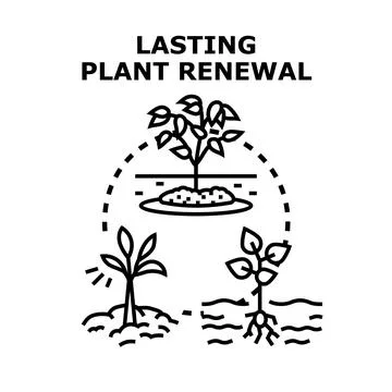 Plant growth renewal process developing ecological concept Stock Illustration