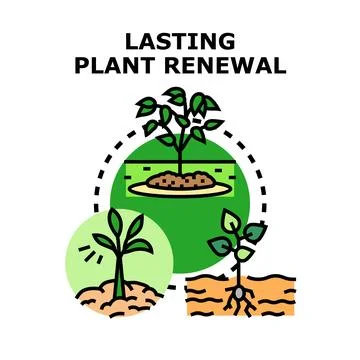 Plant growth renewal process developing ecological concept Stock Illustration