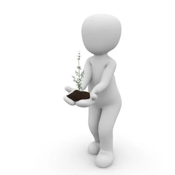 Plant in hand Stock Illustration