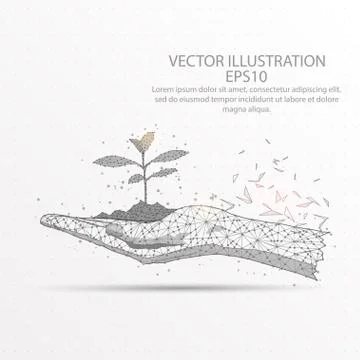 Plant in hand low poly wire frame on white background. Stock Illustration