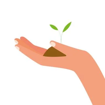 Plant in hand vector on white background. Plant in hand. Stock Illustration